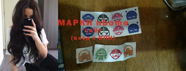 хмурый Няндома