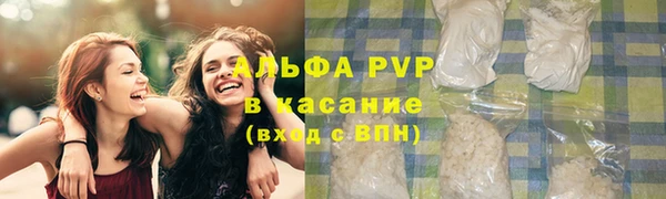 хмурый Няндома