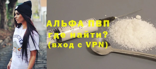 хмурый Няндома