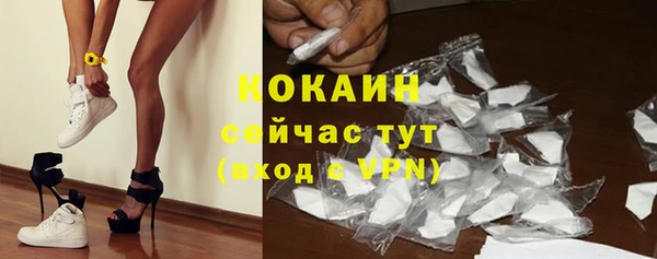 хмурый Няндома