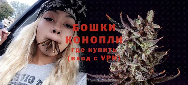 хмурый Няндома