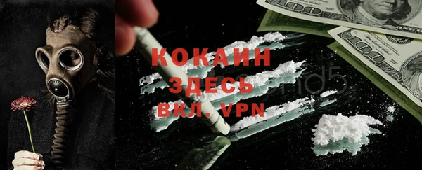 хмурый Няндома