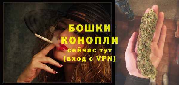 хмурый Няндома
