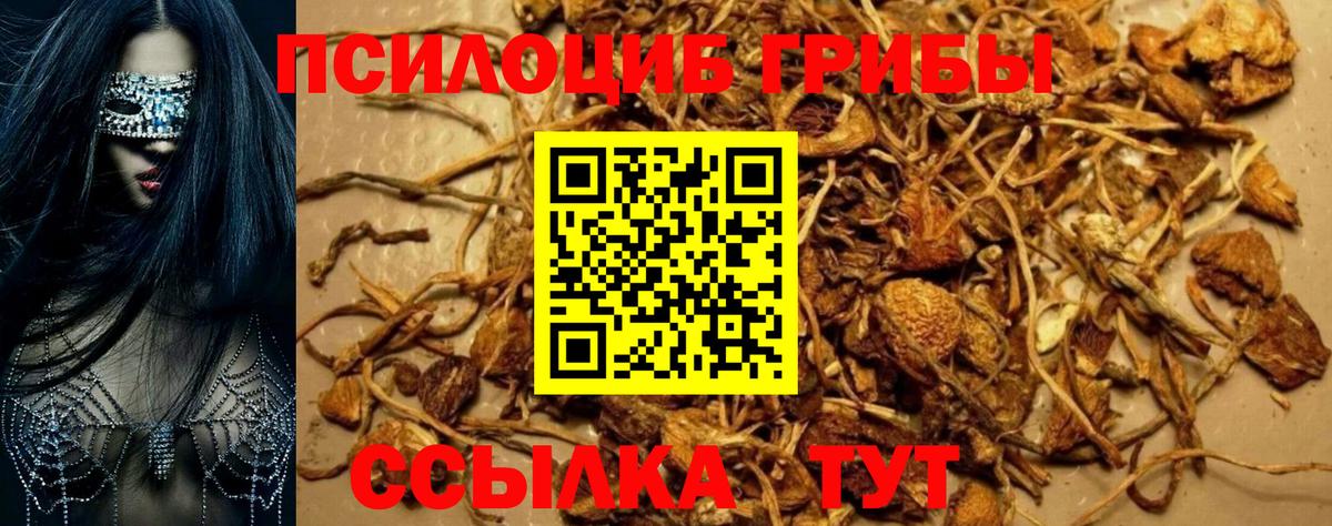 Галлюциногенные грибы Magic Shrooms Пятигорск