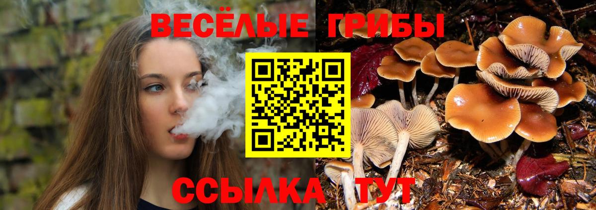 Пятигорск  Галлюциногенные грибы Psilocybe  Вход с VPN  Псилоцибиновые грибы Magic Shrooms 