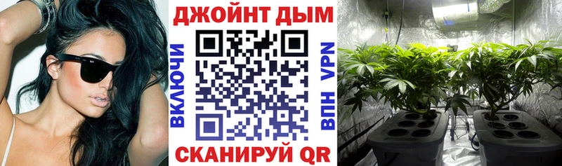 мориарти телеграм  закладка  Пятигорск  Канабис сатива 